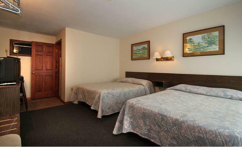 המפטון Dolphyn Motel מראה חיצוני תמונה